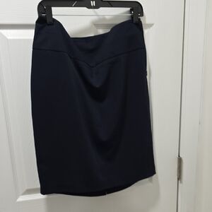 The Limited Navy Pencil Skirt